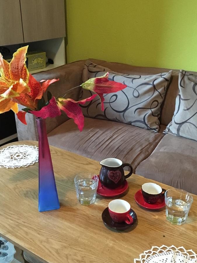 Yeti Guest House Mavrovo Dış mekan fotoğraf