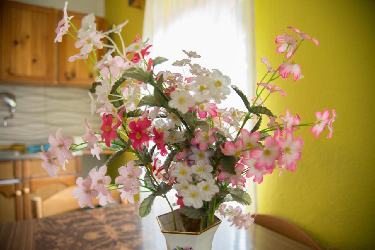Yeti Guest House Mavrovo Dış mekan fotoğraf